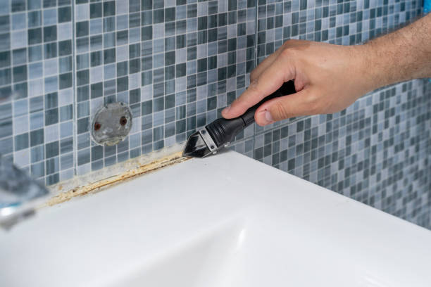 Best Post-Remediation Services in Kenova, WV